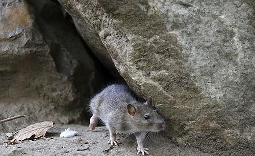 사진AP·연합뉴스