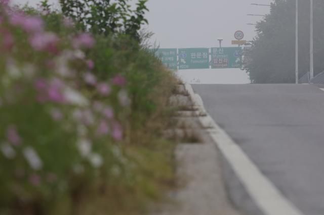 지난 1일 경기도 파주시 임진강변에서 판문점으로 이어진 도로 일대에 안개가 자욱하다 사진연합뉴스