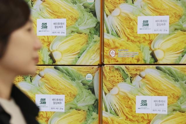 다가오는 김장철을 맞아 대형마트 3사가 절임배추 예약판매에 나선 23일 서울의 한 이마트에 절임배추 상자가 놓여있다
