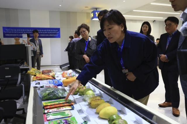 송미령 농림축산식품부 장관이 9일 인천국제공항을 찾아 해외 가축 전염병과 식물 병해충 유입 방지를 위한 국경검역 현장을 점검하고 있다 