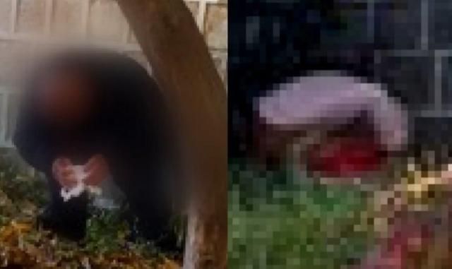 사진JTBC 사건반장 캡쳐