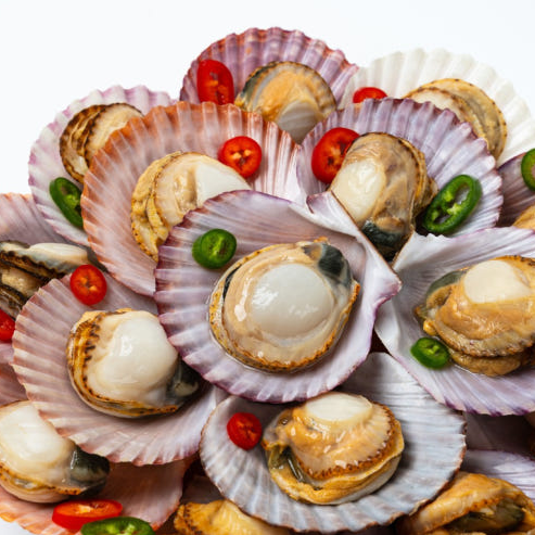 고고쇼핑 통영 홈 가리비 사진중소벤처기업부