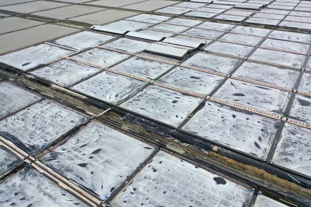 전남 신안군 증도면 태평염전 사진연합뉴스