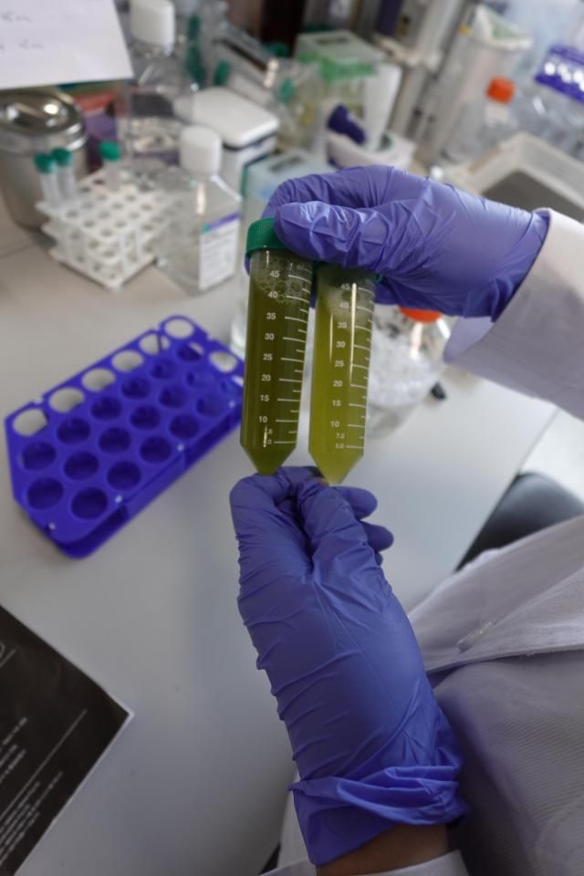 사진에이바이오머티리얼즈