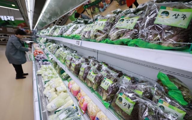 지난달 22일 서울의 한 대형마트에서 소비자가 상추 등 채소를 고르고 있다 
