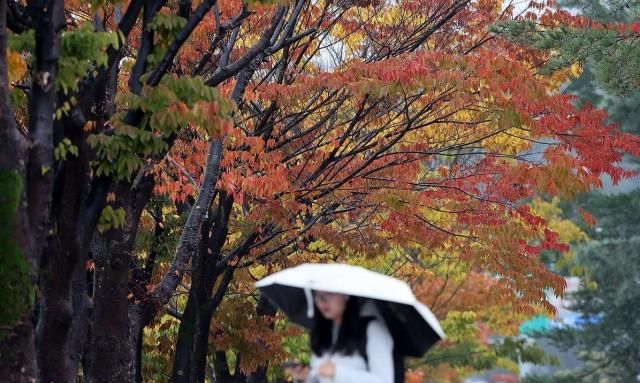 비 내리는 캠퍼스 사진연합뉴스