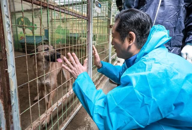 더불어민주당 정청래 대표가 9일 경기도 용인시 유기견 보호소 행복한 강아지들이 사는 집에 방문 강아지와 인사하고 있다사진연합뉴스