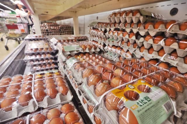 지난 9월 서울 시내 한 대형마트 계란 판매 코너 