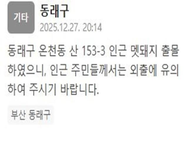 부산 동래구 온천동의 한 산 인근에서 맷돼지가 출몰했다 사진동래구 재난문자