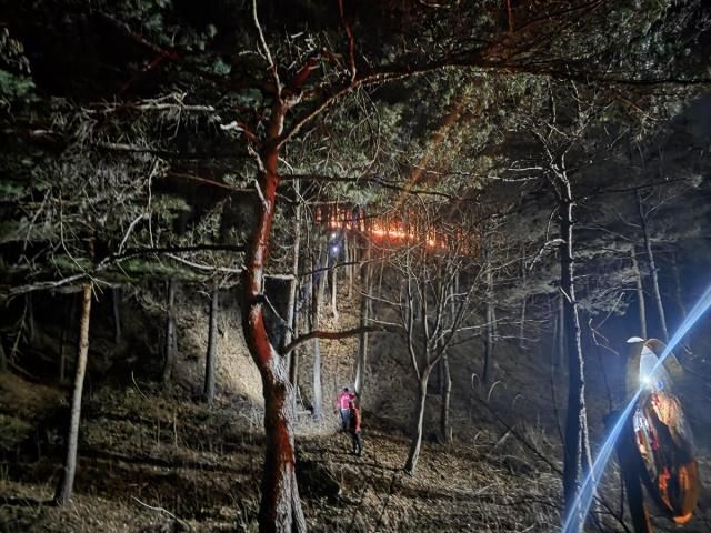 사진강원도 제공