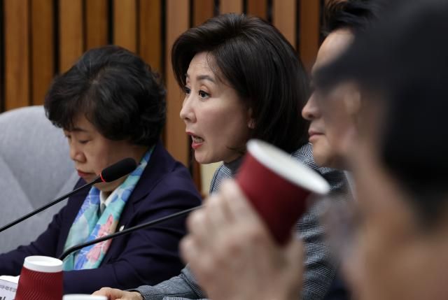 나경원 국민의힘 의원이 지난달 24일 국회에서 열린 대장동 범죄수익환수 특별법 제정을 위한 긴급 토론회에서 발언하고 있다 사진연합뉴스