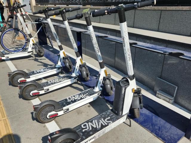 공유 전동킥보드 사진연합뉴스