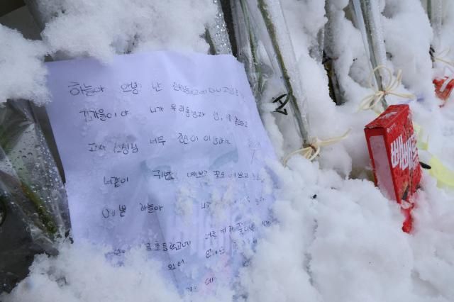 대전 초등학생 김하늘 양 피살사건이 발생한 대전 서구의 한 초등학교 정문에 12일 오전 시민들이 붙여놓은 쪽지와 꽃 인형 선물들이 가득 차 있다 사진연합뉴스