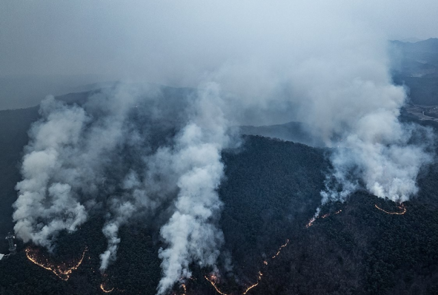 경북 의성군 대형 산불 발생 이틀째인 23일 의성군 산불 현장에서 산불이 확산하고 있다 사진연합뉴스