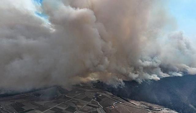 경북 의성군 대형 산불 발생 사흘째인 24일 의성군 점곡면 야산에서 산불이 강풍을 타고 번지고 있다 사진연합뉴스