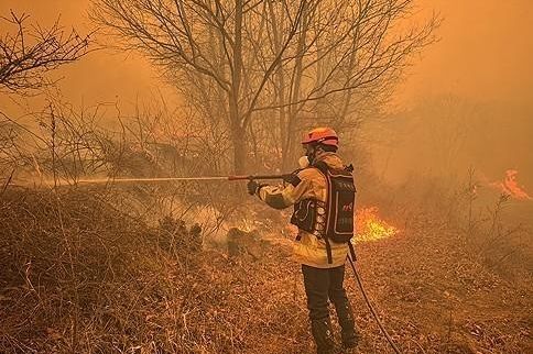 사진경북소방본부