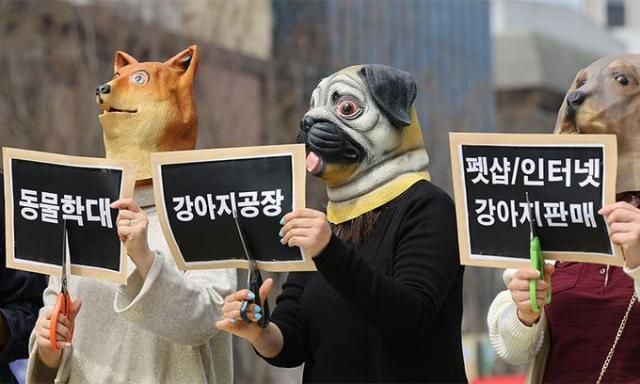 지난 2023년 3월 23일 서울 광화문광장에서 한국동물보호연합 관계자 등이 양평 개 1000여마리 아사 사건의 책임자를 규탄하며 강아지 공장 폐쇄 촉구 기자회견을 하고 있다 사진연합뉴스