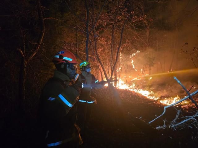 경북 의성 산불 진화 장면 사진경상북도 소방본부