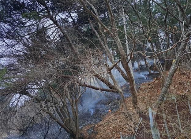 홍천 산불 사진산림청