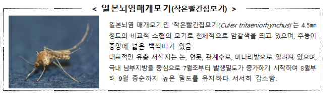 사진질병관리청 제공
