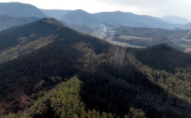 산림청이 28일 오전 5시 기준 경북 청송군 지역 산불 진화율이 89라고 밝힌 가운데 청송군 파천면 신기리 일대 야산이 불에 타 그을려 있다사진연합뉴스