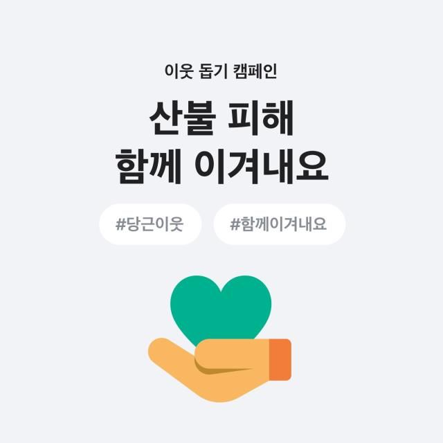 산불 피해 돕기 캠페인 사진당근