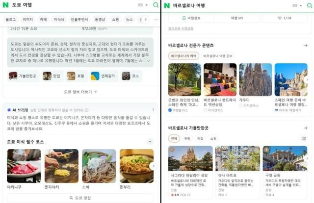 왼쪽은 AI 브리핑이 적용된 플레이스 검색 오른쪽은 적용되지 않은 플레이스 검색 사진온라인 캡처