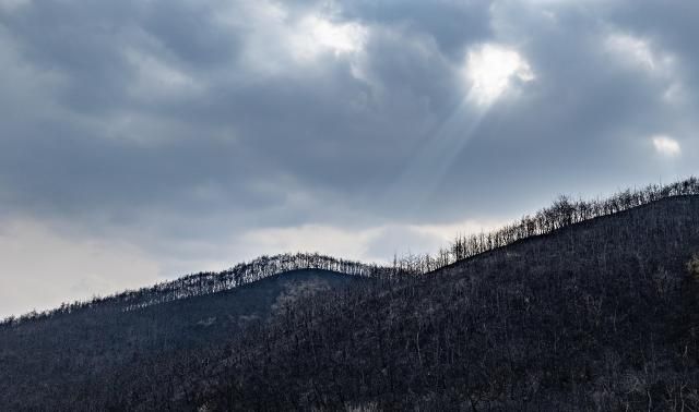 28일 경북 의성군 산림이 산불에 폐허가 된 모습을 보이는 가운데 빛내림 현상이 관측되고 있다 산림청은 이날 일주일간 이어진 경북 산불의 주불 진화 완료를 선언했다 사진연합뉴스