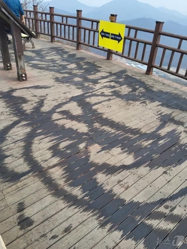 사진경기도소방재난본부