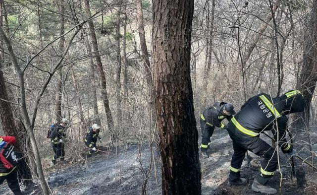 지리산국립공원 경남사무소 직원이 지난 26일 경남 하동군 옥종면에서 잔불 진화 작업을 벌이고 있다 사진연합뉴스