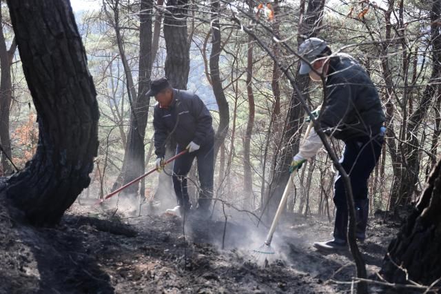 29일 오전 경북 의성군 사곡면 신감리 한 야산에서 마을 주민들이 잔불 진화를 하고 있다 사진연합뉴스