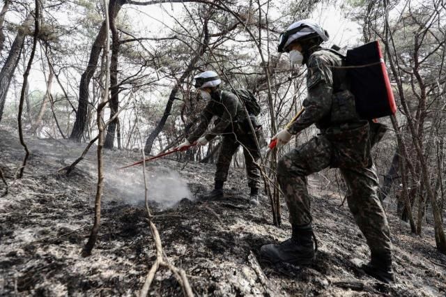 난 29일 경북 의성군 산불진화 지원작전 현장에서 육군 50사단 장병이 진화장비를 이용해 잔불을 정리하고 있다 사진육군 