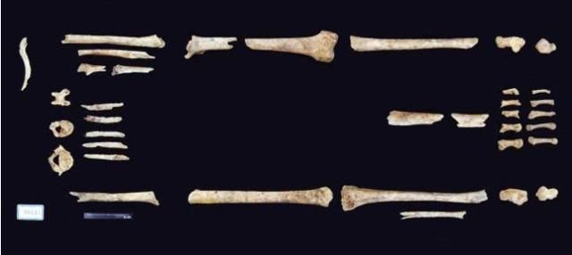 고故 김영기 하사 유해 사진국방부 