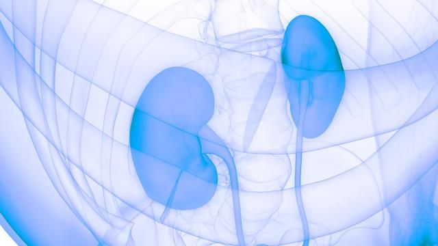 사진게티이미지뱅크