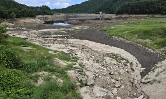 지난해 8월 가뭄으로 강원 강릉 사천저수지가 바닥을 드러낸 모습 사진연합뉴스