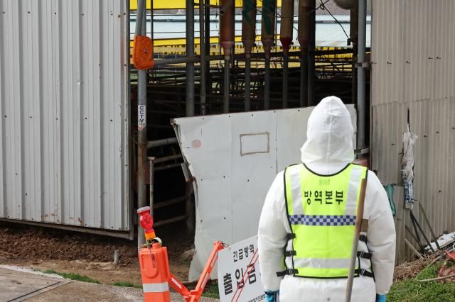 지난 3월 구제역이 발생한 전남 영암군 한 한우농장 앞에서 방역 당국 관계자가 출입 통제하고 있다 