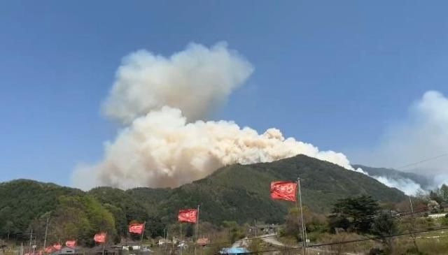 강원 인제 하남리서에서 발생한 산불 사진연합뉴스