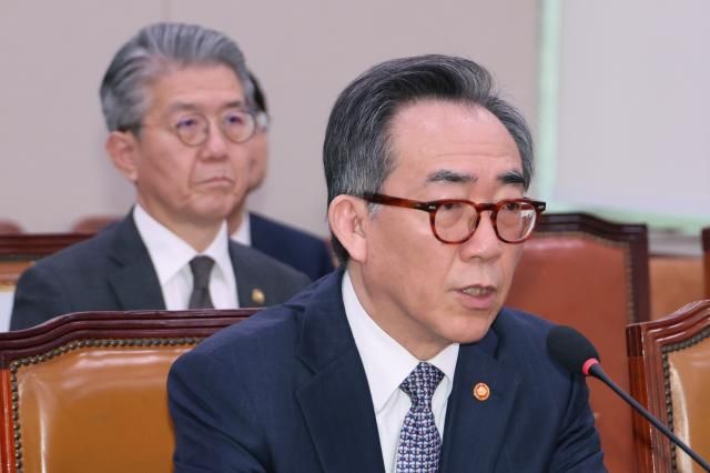 조태열 외교부 장관이 지난 24일 국회 외교통일위원회 전체회의에서 2025년도 제1회 추가경정예산안 관련 질의에 답변하고 있다 사진연합뉴스