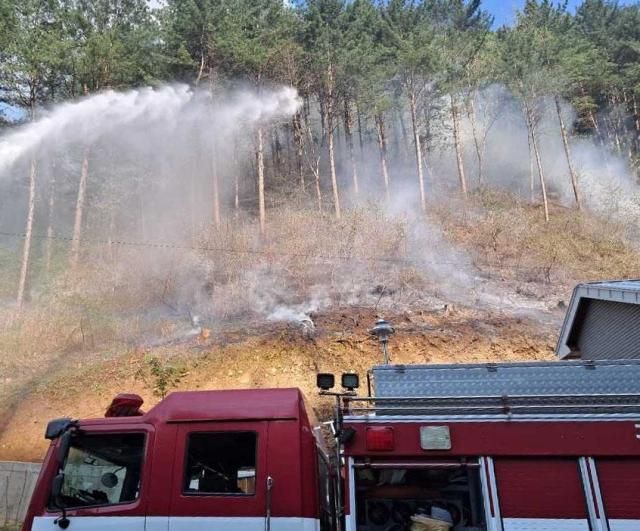 소방 당국이 홍천 산불을 진화하고 있다 사진홍천소방서