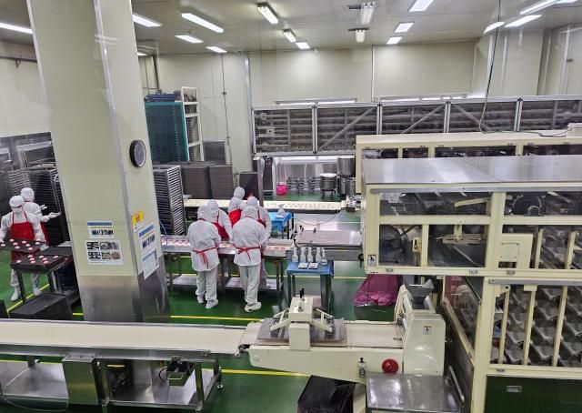 8일 경기도 안성 푸드코아 공장에서 직원들이 연세우유 생크림빵을 반죽하고 있다 사진정연우 기자