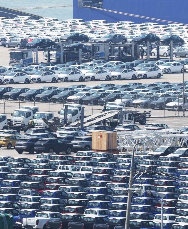 수출 대기 중인 자동차 