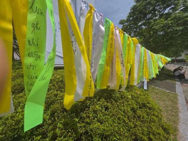 18일 광주 북구 국립 518 민주묘지 앞에 노란 추모 리본이 일렬로 매달려 있다 이 중에서 윤석열 구속 이라는 내용이 적힌 리본도 보인다 사진신진영 기자