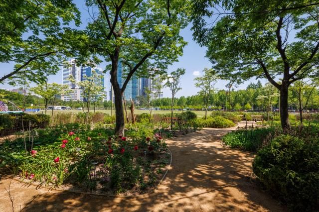 2025 서울국제정원박람회에 출품된 초청정원 