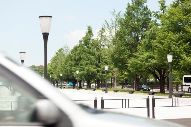 사진게티이미지뱅크