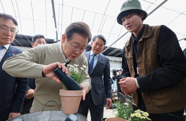 더불어민주당 이재명 대선 후보가 골목골목 경청투어 국토종주편에 나선 6일 충북 보은군 화훼농원 숲결에서 분갈이 체험을 하고 있다 사진연합뉴스