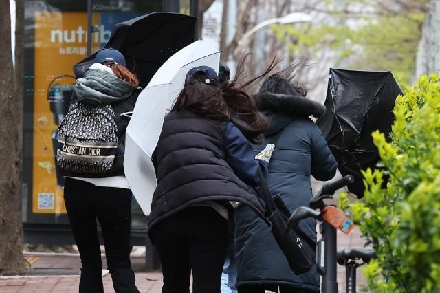서울 시내에 강풍과 함께 한때 우박이 내린 지난 4월 13일 서울 서초구 서울회생법원 인근에서 한 시민의 우산이 강풍에 뒤집히고 있다 사진연합뉴스