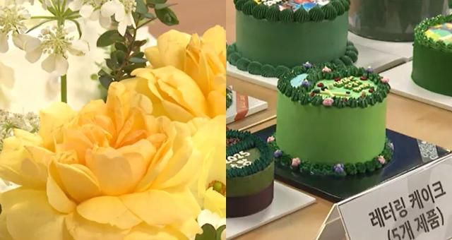 사진연합뉴스TV 캡처