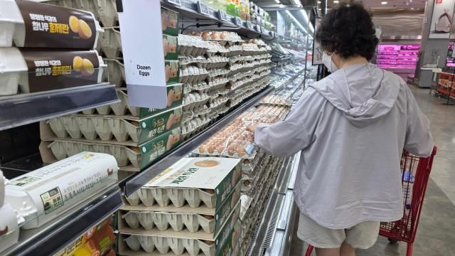 10일 오전 롯데마트 서울역점 계란코너에서 한 소비자가 계란을 고르고 있다사진김현아 기자