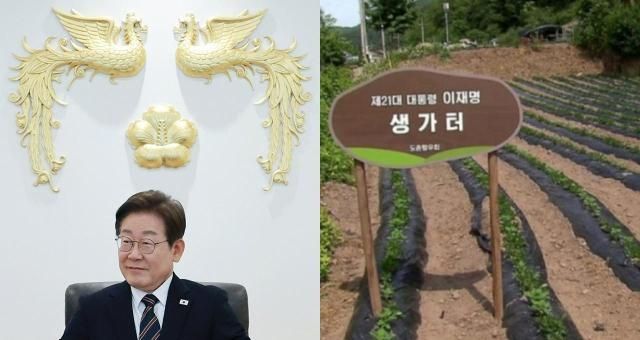 사진연합뉴스 MBC 보도 화면 캡처