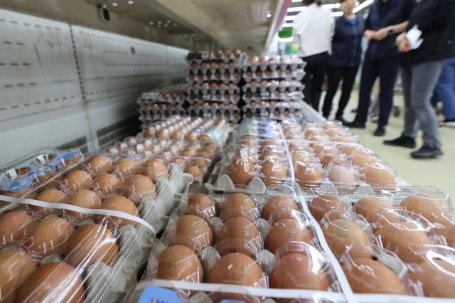 경제협력개발기구OECD의 구매력 평가를 고려한 물가 수준 통계에 따르면 한국의 식료품과 비주류 음료 가격은 2023년 기준 OECD 평균보다 47 높았다 이는 OECD 38개국 중 2번째로 높은 수치다 사진은 15일 서울의 한 대형마트에 진열된 최근 가격이 오르고 있는 달걀의 모습 사진연합뉴스